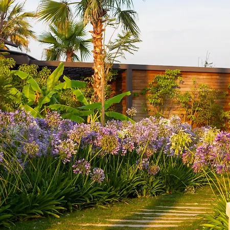 Szálloda Reges, A Luxury Collection & Spa, Çeşme