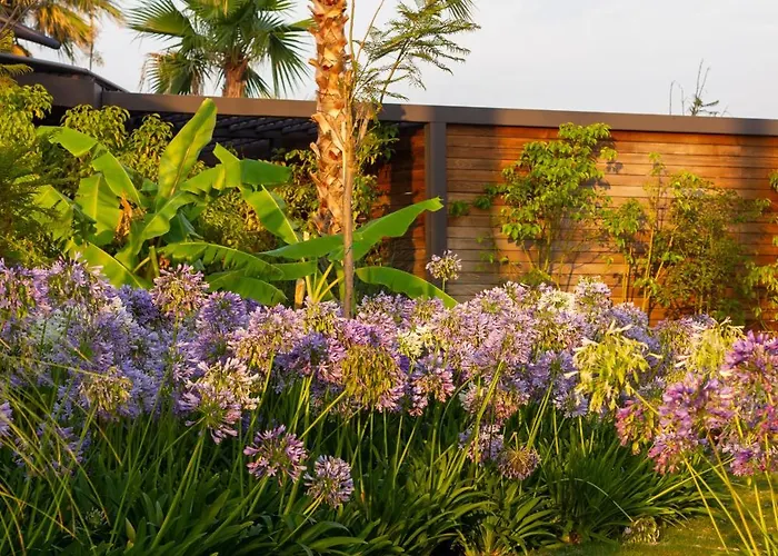 酒店 Reges, A Luxury Collection & Spa, Çeşme